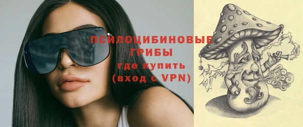 крисы Арсеньев