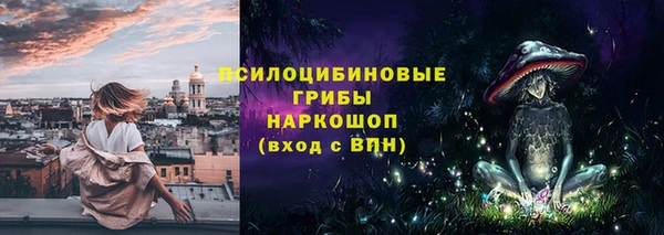 гашик Богородск