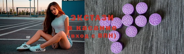 гашик Богородск