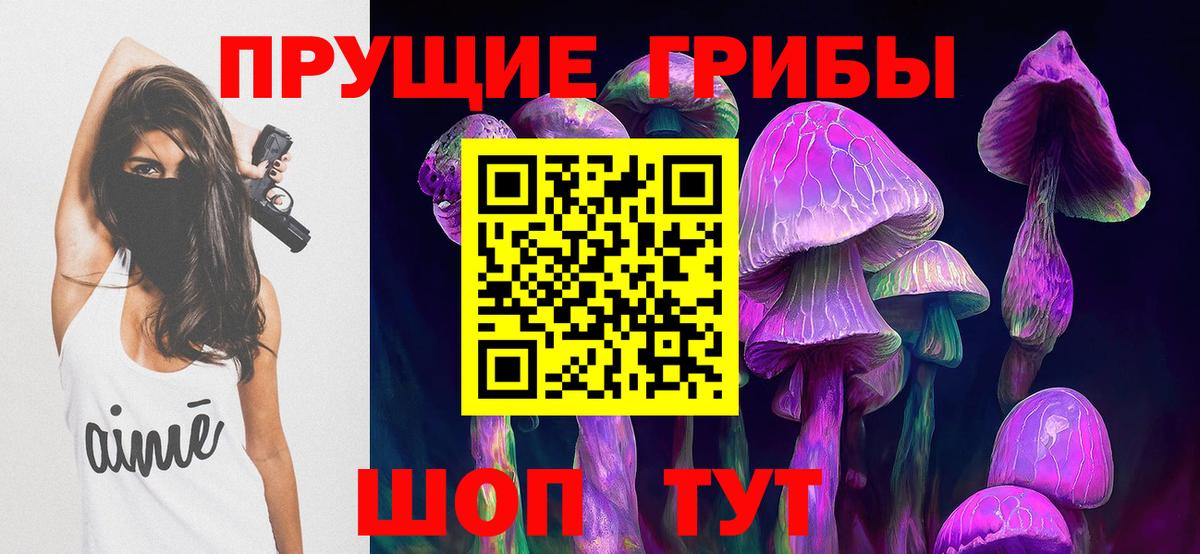 Псилоцибиновые грибы Psilocybe Улан-Удэ
