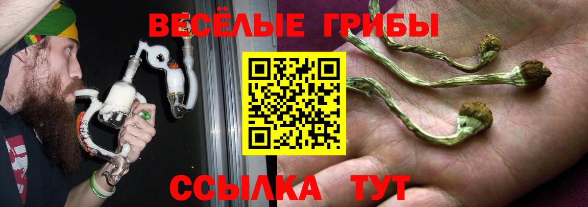 Улан-Удэ  Галлюциногенные грибы прущие грибы  купить наркоту  Вход с VPN 